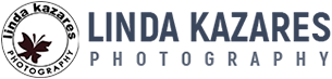 Linda Kazares Photography